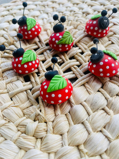 Ímã de Geladeira Joaninha